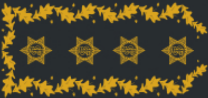 Insígnia Diretor Nacional