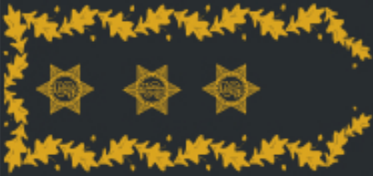 Diretor Nacional Adjunto