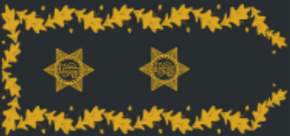 Superintendente Chefe